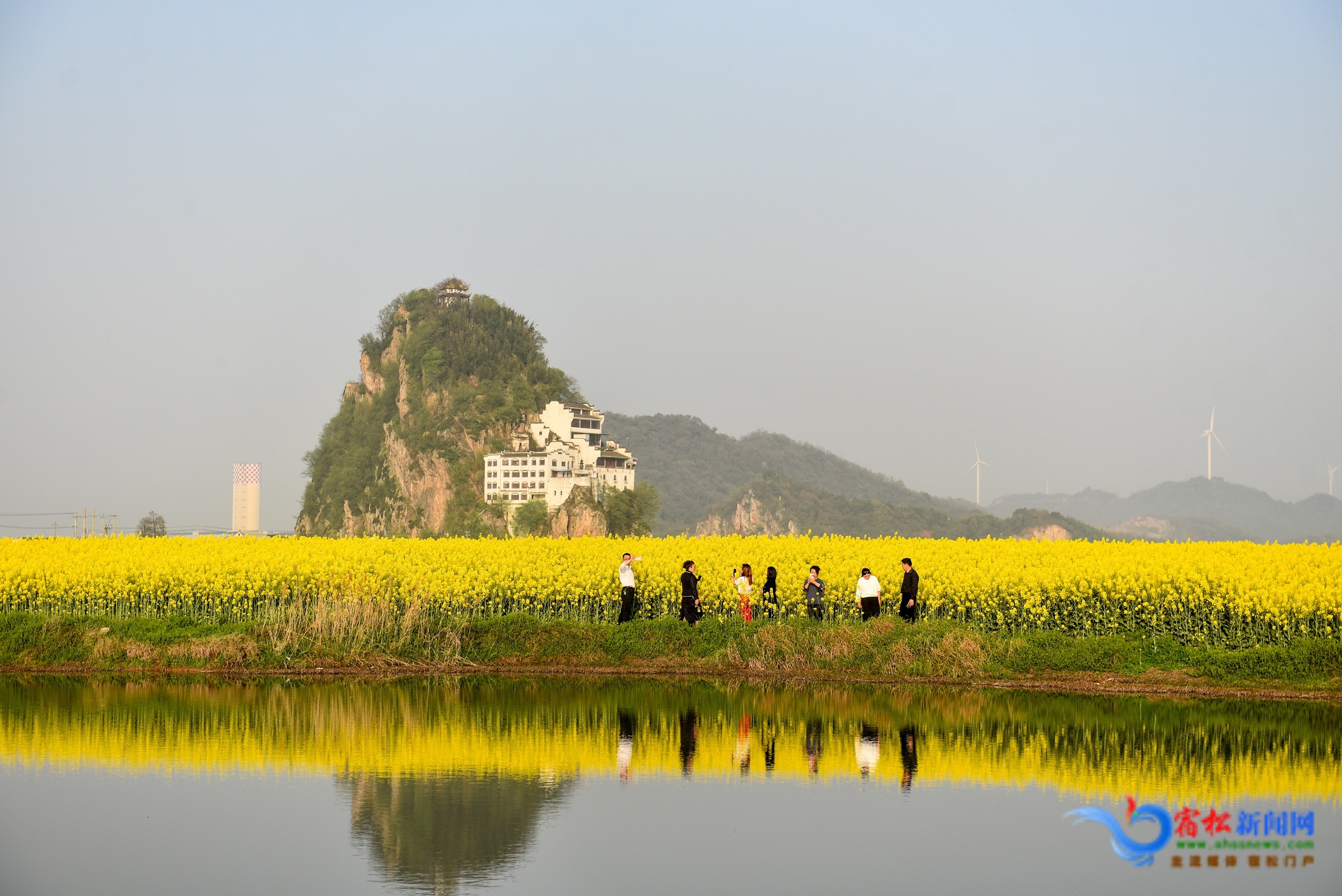 游客赏花 (3).JPG