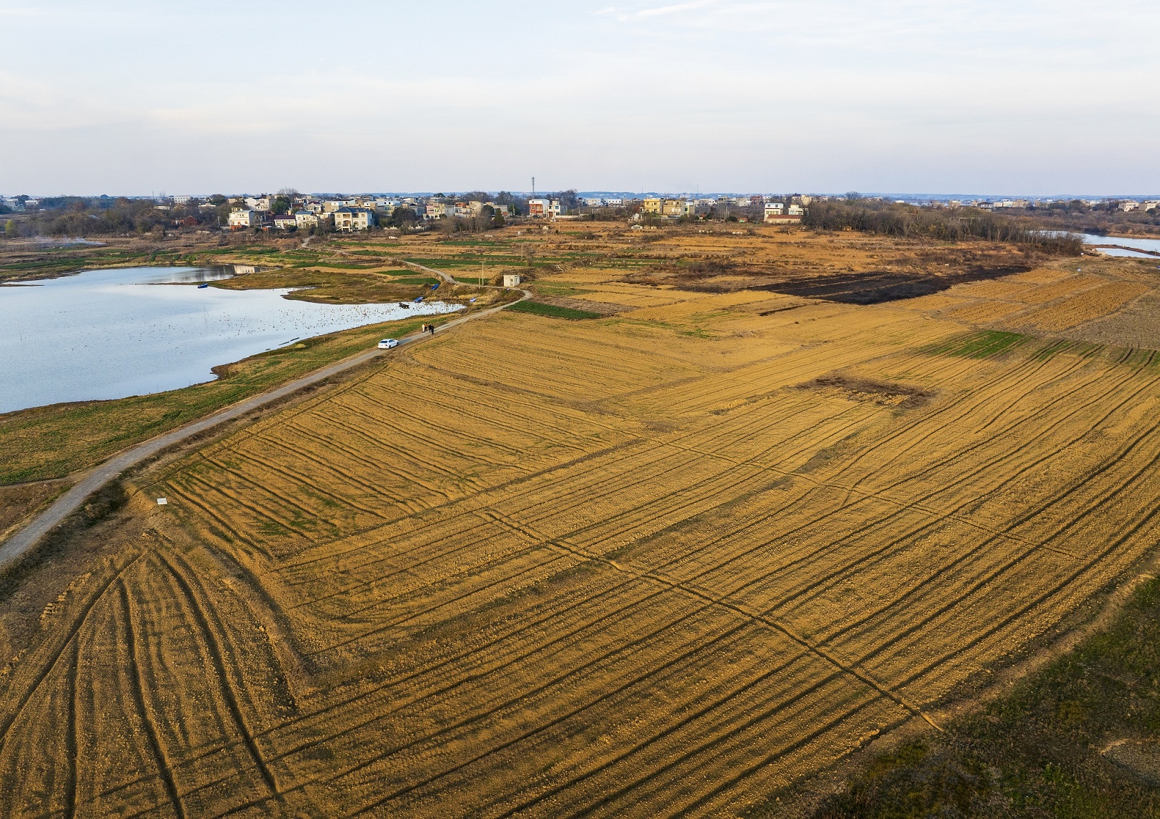 国赛村石家组经过平整的油菜种植基地.jpg